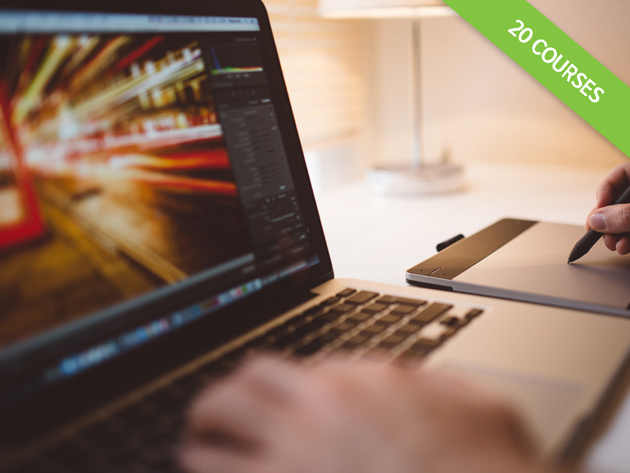 Professional Web Design Bootcamp